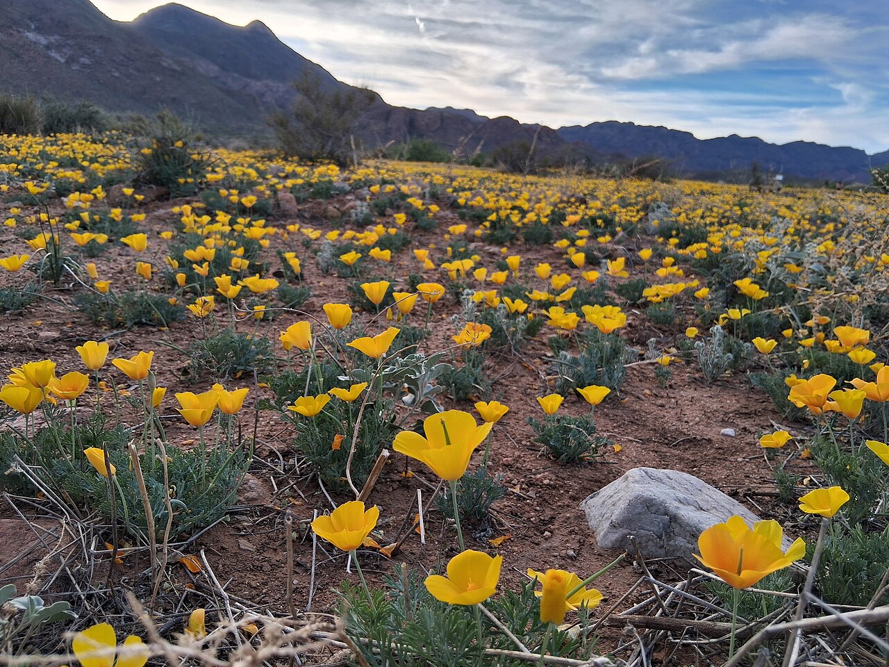 Franklin Mountains State Park — RV trip from El Paso, TX